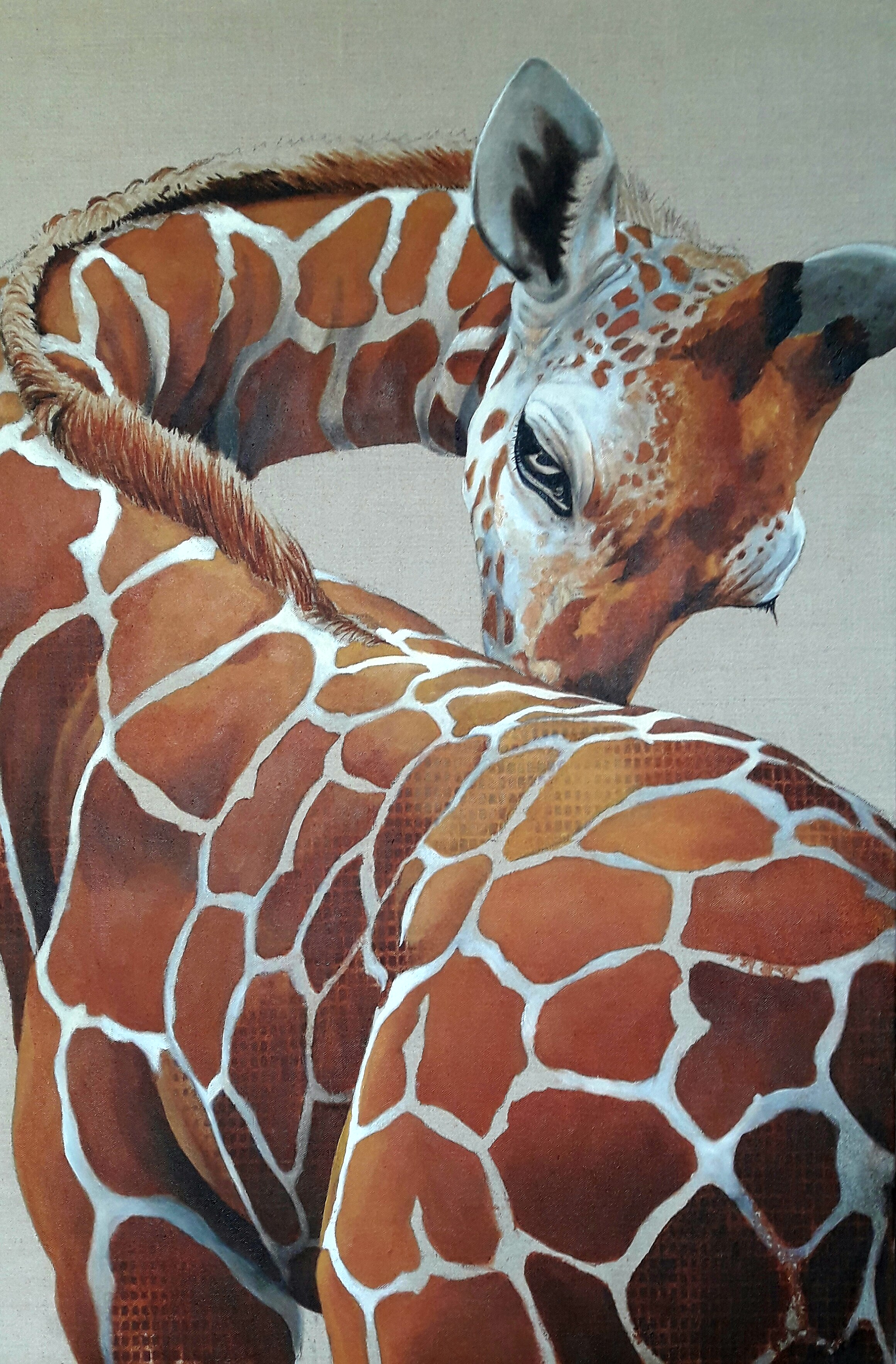 92 x 60*