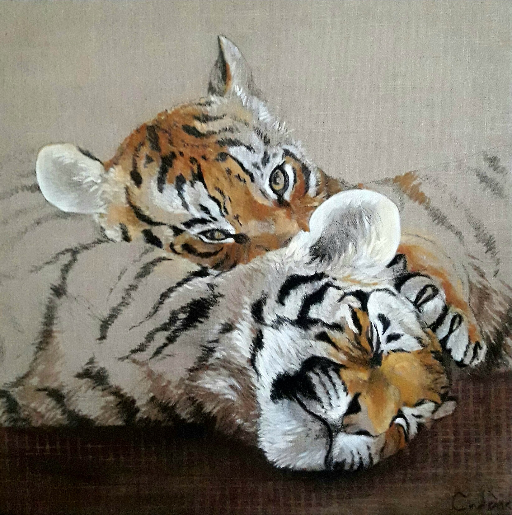 50x50*